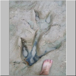 100_0576 (2009-26-07)m.JPG